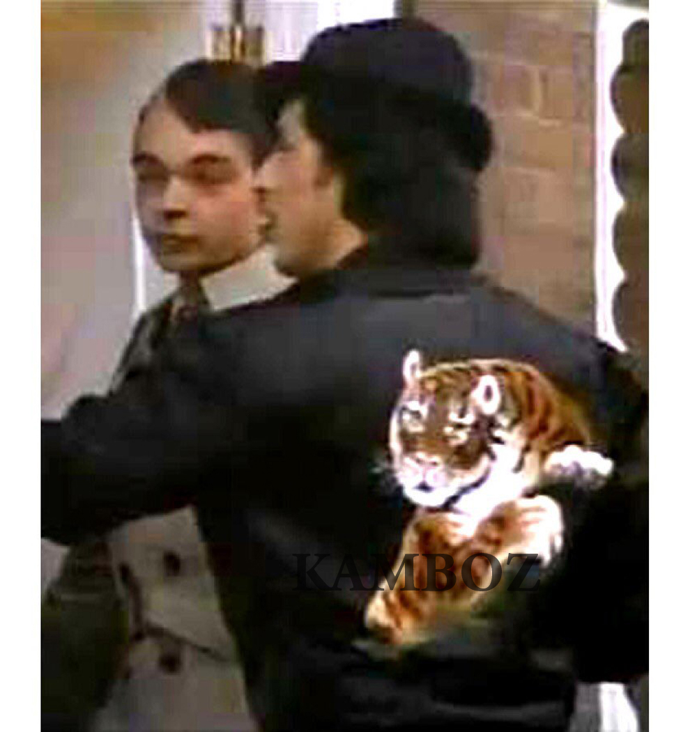 Rocky Balboa Tiger Jacket | Cotton Jacket - Image 3